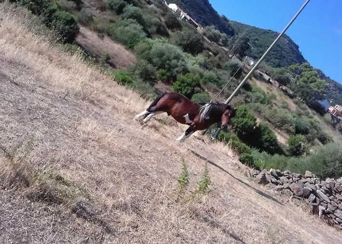 Azienda Agrituristica La Janna Di La Faj * Budoni