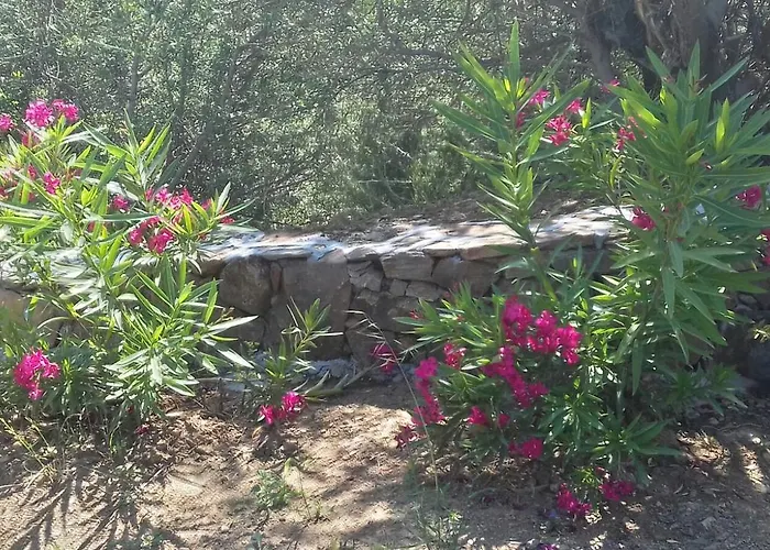 Azienda Agrituristica La Janna Di La Faj Фермерский дом Будони