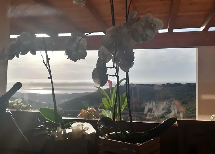 Gospodarstwo agroturystyczne Azienda Agrituristica La Janna Di La Faj Budoni