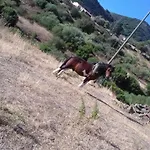 Azienda Agrituristica La Janna Di La Faj * Budoni