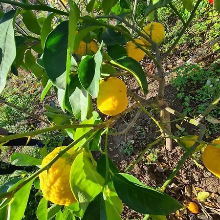 Azienda Agrituristica La Janna Di La Faj Farma *