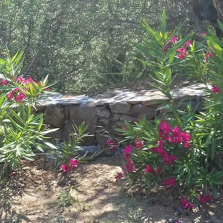 Azienda Agrituristica La Janna Di La Faj Lantgård Budoni