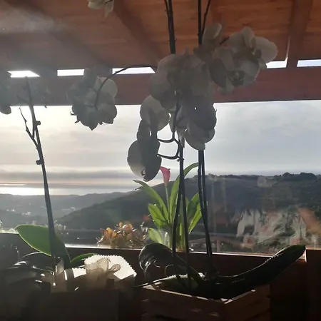 Lantgård Azienda Agrituristica La Janna Di La Faj Budoni