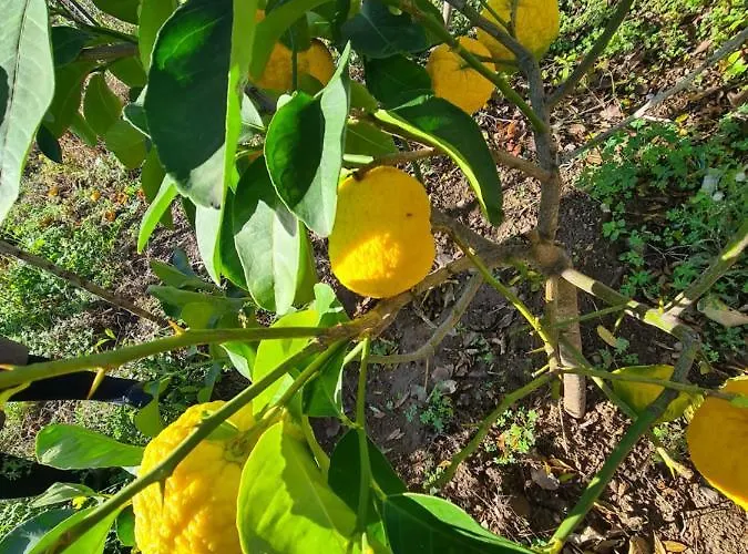 Azienda Agrituristica La Janna Di La Faj Vakantieboerderij *